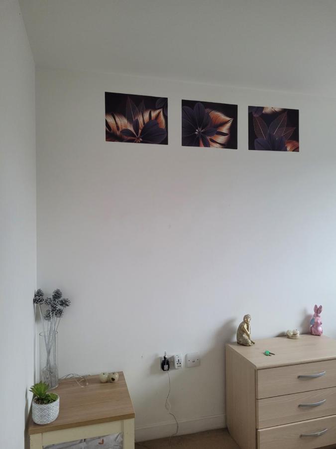Room Near Heathrow Airport 히드로 외부 사진